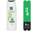 شامپو مو چرب Keep Fresh مای